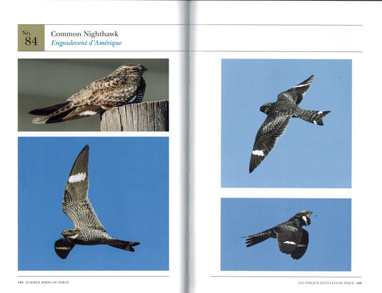 Signed Limited Edition: Summer Birds of Percé/Les Oiseaux Estivants de Percé