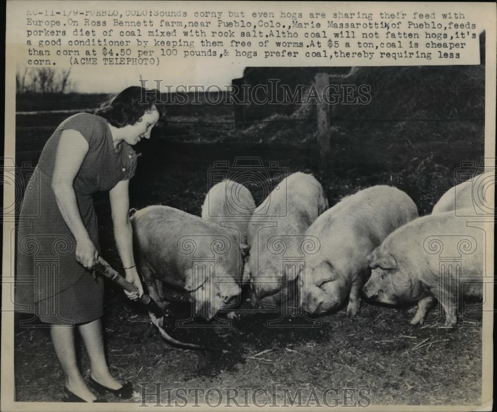 1948 Press Photo Hogs Sharing Feed On Ross Bennett Farm - nee26455 - Historic Images