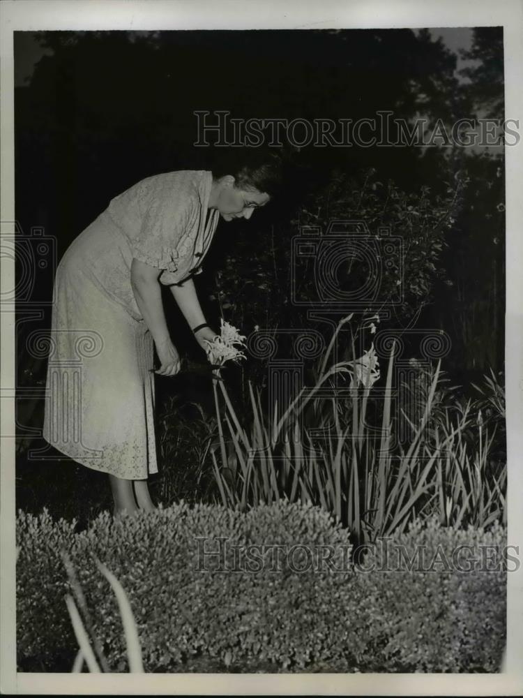 1937 Press Photo Mildred M Clementsrunning for Mayor - nee28994 - Historic Images