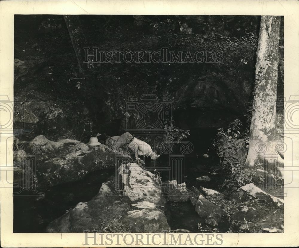 1943 Press Photo Natural Spring in Chattahoochee National Forest in Georgia - Historic Images