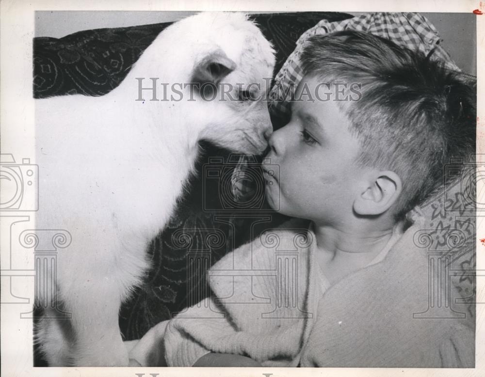 1946 Press Photo Milwaukee, Wisconsin, David Rogowski broke leg, baby goat pet - Historic Images