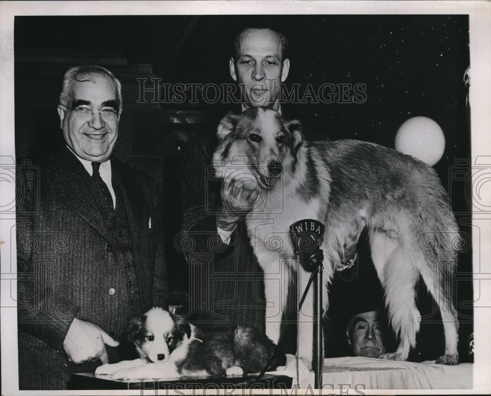 1944 Press Photo Madison Wisconsin Walter Woodland Pet Breeder At Dog Show - Historic Images