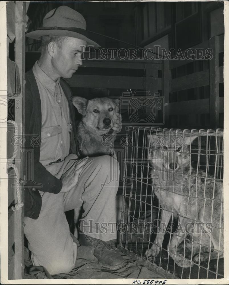 1940 Press Photo Kansas City Missouri William E Smith, Zoologist - Historic Images