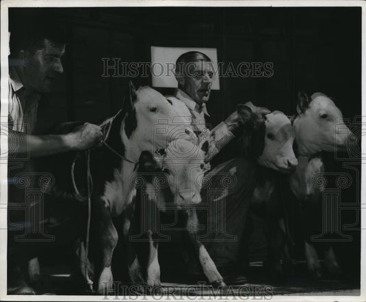 1946 Press Photo Buckeye Arcady Quads with W. Iddings(L) & father Henry, Ohio - Historic Images