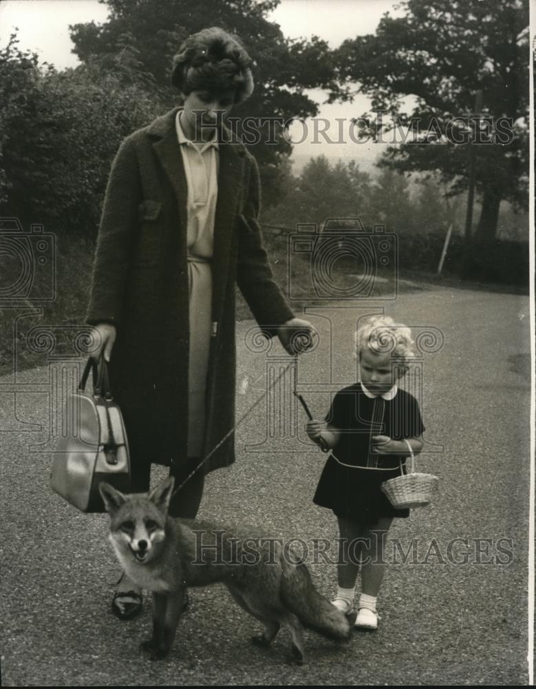 1966 Press Photo Fordingbridge Hants England, Mrs Betty Price &amp; Vanessa, pet fox - Historic Images