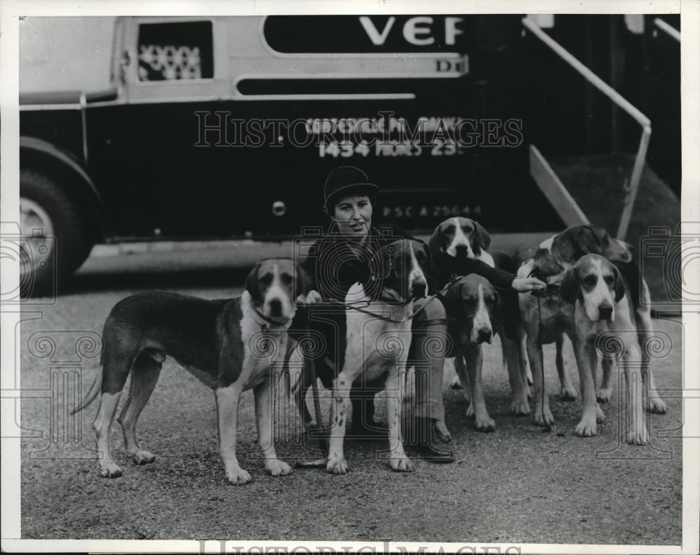 1937 Press Photo Barbara Hall &amp; English fox hounds of Mrs P French - Historic Images