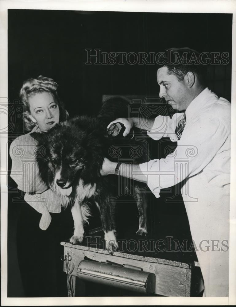 1946 Press Photo Cleveland Ohio Tarzan the ElkhoundDr MJ Bramley &amp; N Reese - Historic Images