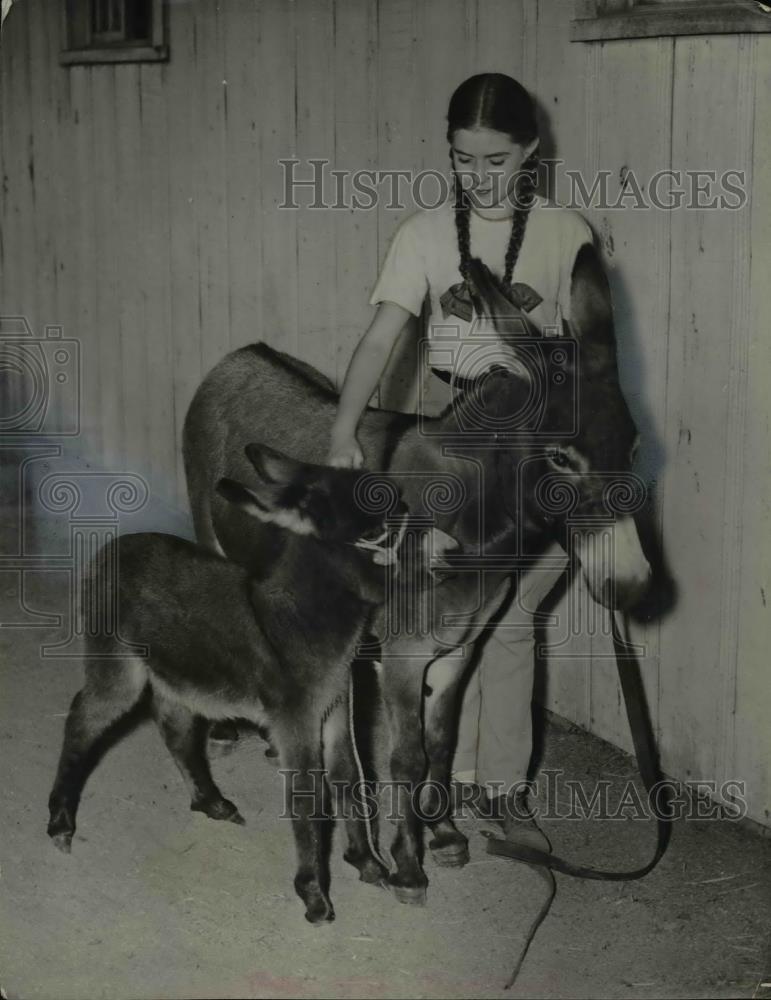 1942 Press Photo Taggart Stables Has Newborn Donkey with Omie Campbell - Historic Images