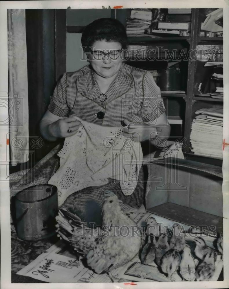 1954 Press Photo Hen in Parlor of Mrs. Pierce Jodun with her Nine Chicks - Historic Images