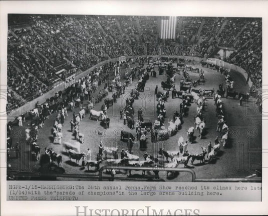 1954 Press Photo 38th Annual Pennsylvania Farm Show Parade of Champions - Historic Images