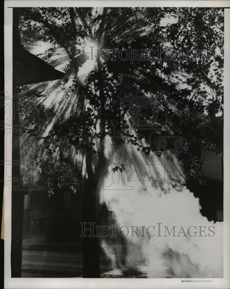 1944 Press Photo Sun Beaming Through Trees in Cleveland Park - Historic Images