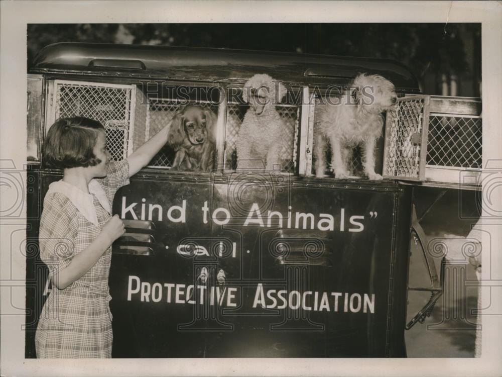 1937 Press Photo The Animal Protection Assn, of Washington D.C. - Historic Images