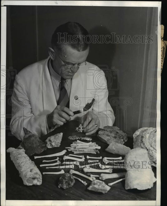 1940 Press Photo Speleologist finds rare bones&minerals,California Deepest Caves - Historic Images