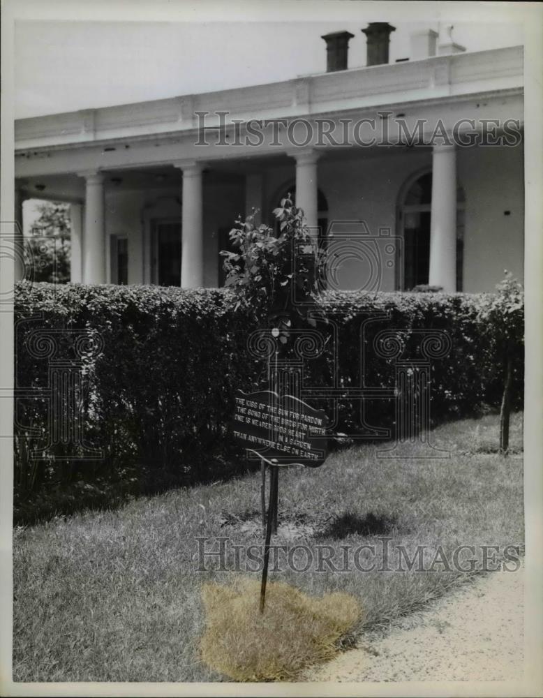 1958 Press Photo Sign stands on grounds of the White House in Washington DC - Historic Images