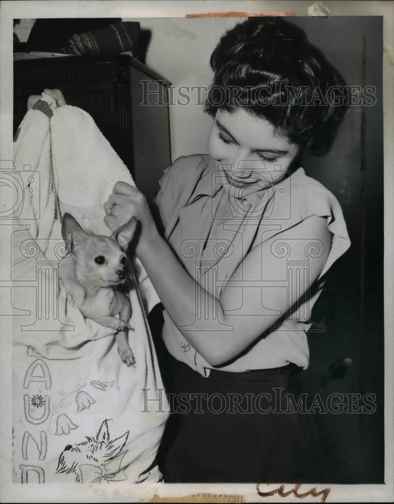 1947 Press Photo Mrs. E.F. Heflebower withher Chihuahua Piruli - Historic Images