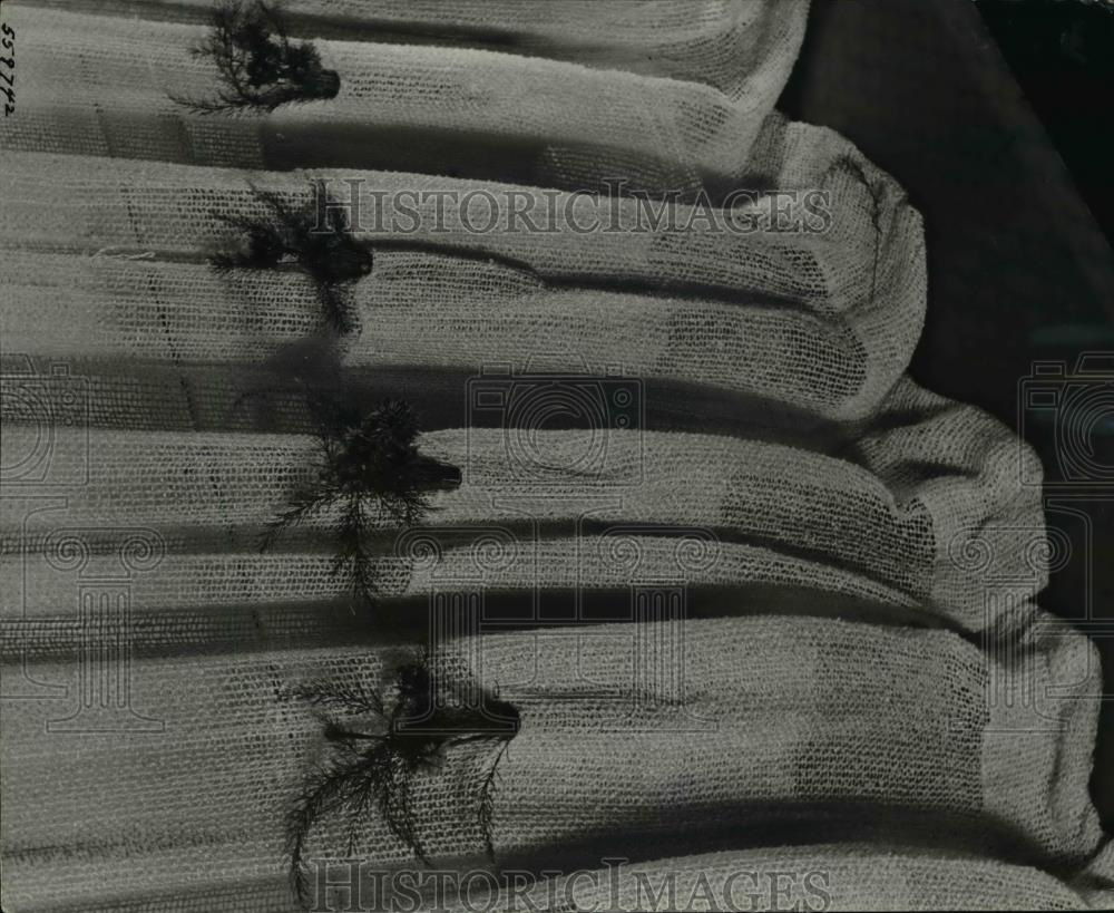 1940 Press Photo Curtain w Built-In Flower, Test Tube Pockets by Paul Bry - Historic Images