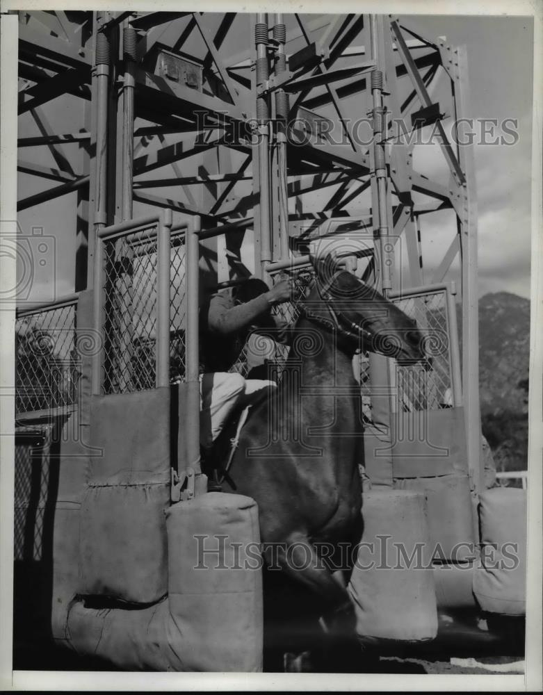 1939 Press Photo Race Horse Starting from Electrical Gate - Historic Images