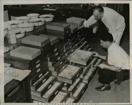 1935 Press Photo Hawaiian Sugar Cane Planters' Association Experiment Station - Historic Images