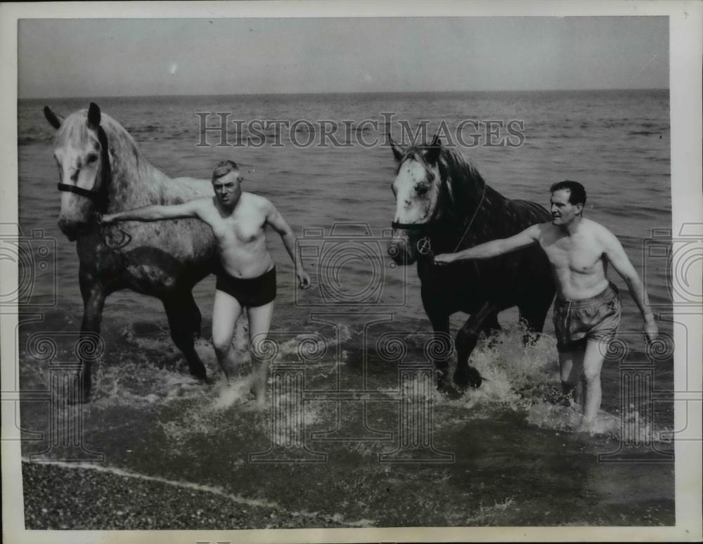 1959 Press Photo Percherons John and Bill with H.H.Jones and C.Skillings - Historic Images