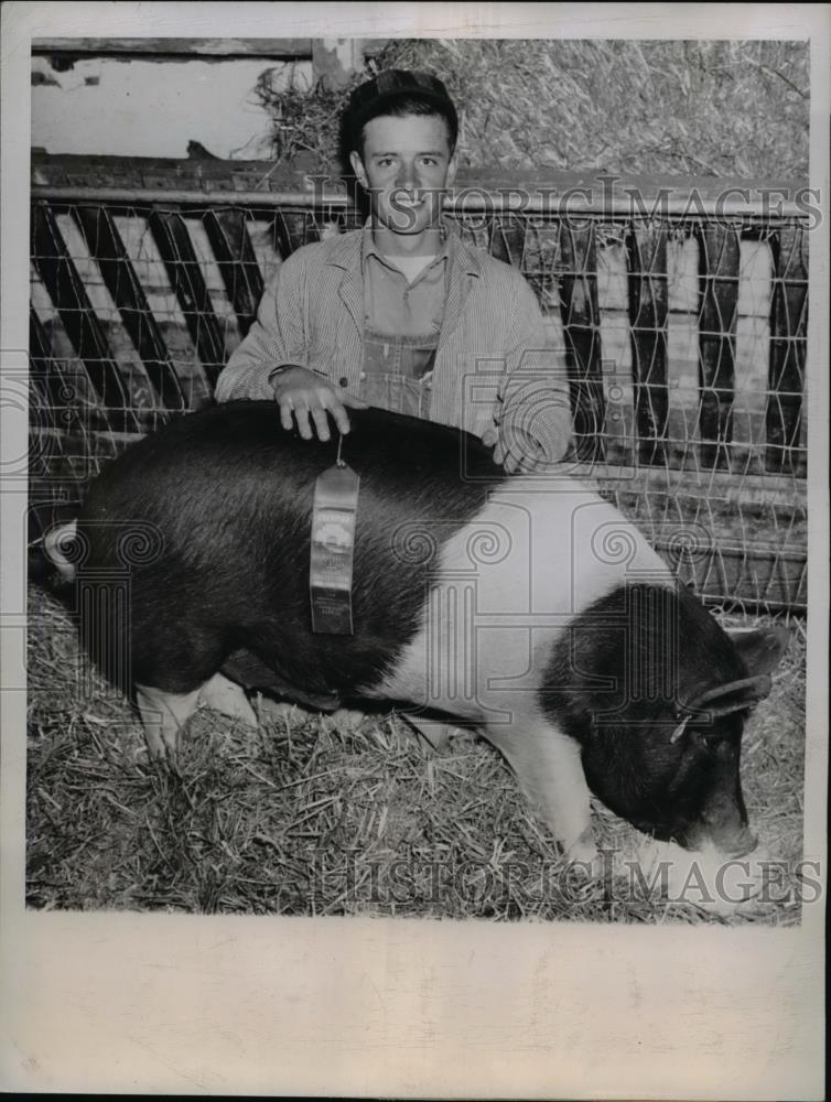 1943 Press Photo Carl McIntyre,won the Junior Championship for hogs in Chicago - Historic Images