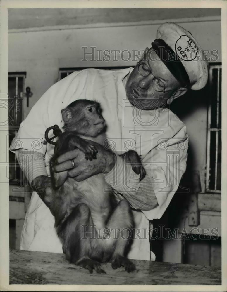 1939 Press Photo Capt. Curly Wilson with Rhesus Monkey from Brookside Zoo - Historic Images