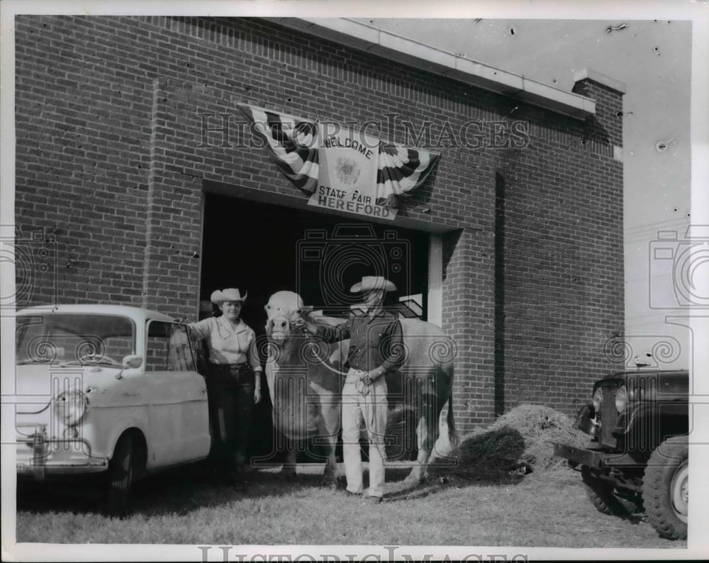 1960 Press Photo Crarbray cattle crossed between Charolais &amp; Indian Beahmas - Historic Images