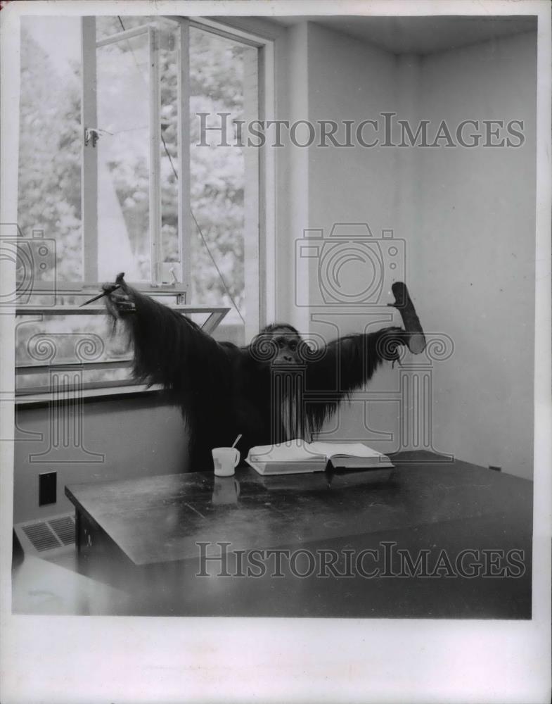 1957 Press Photo Cleveland Ohio Museum of Natural History - Historic Images