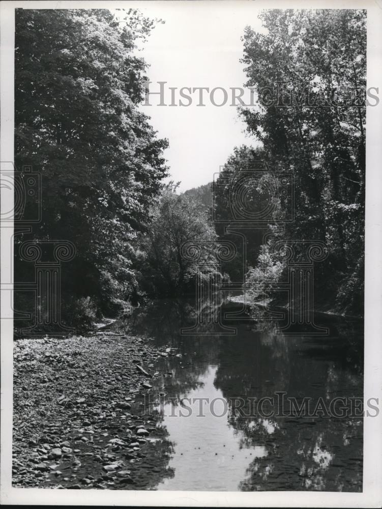 1952 Press Photo The Chagrin River scene on grounds of Maynard Murch Kirtland - Historic Images