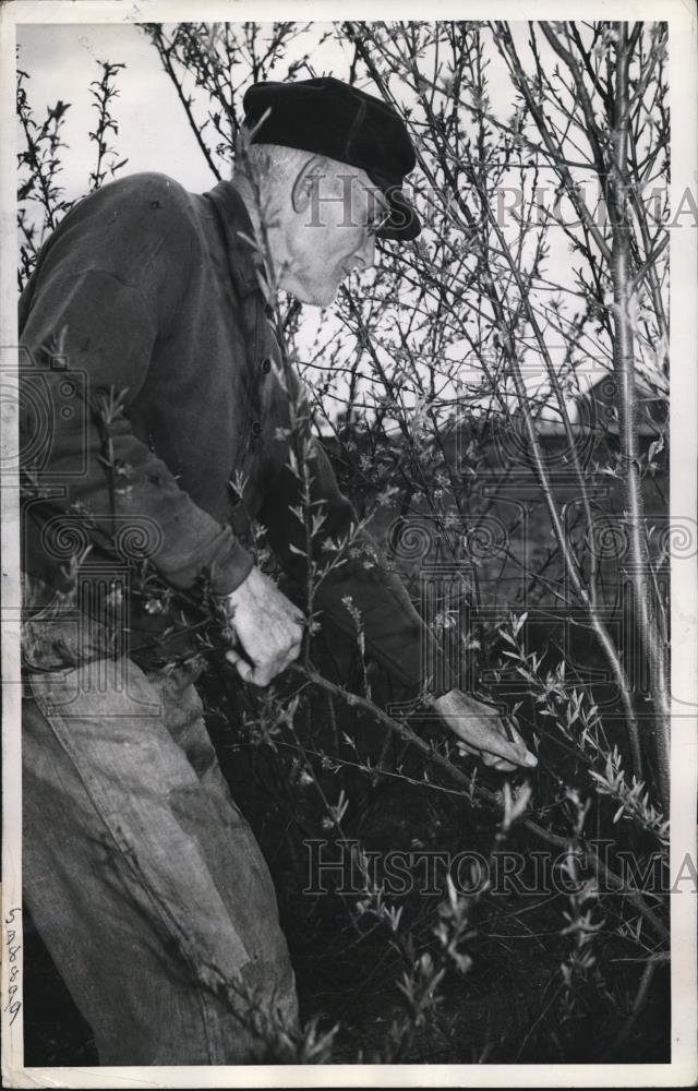 1940 Press Photo Gilbert Gonover Locates Well - Historic Images