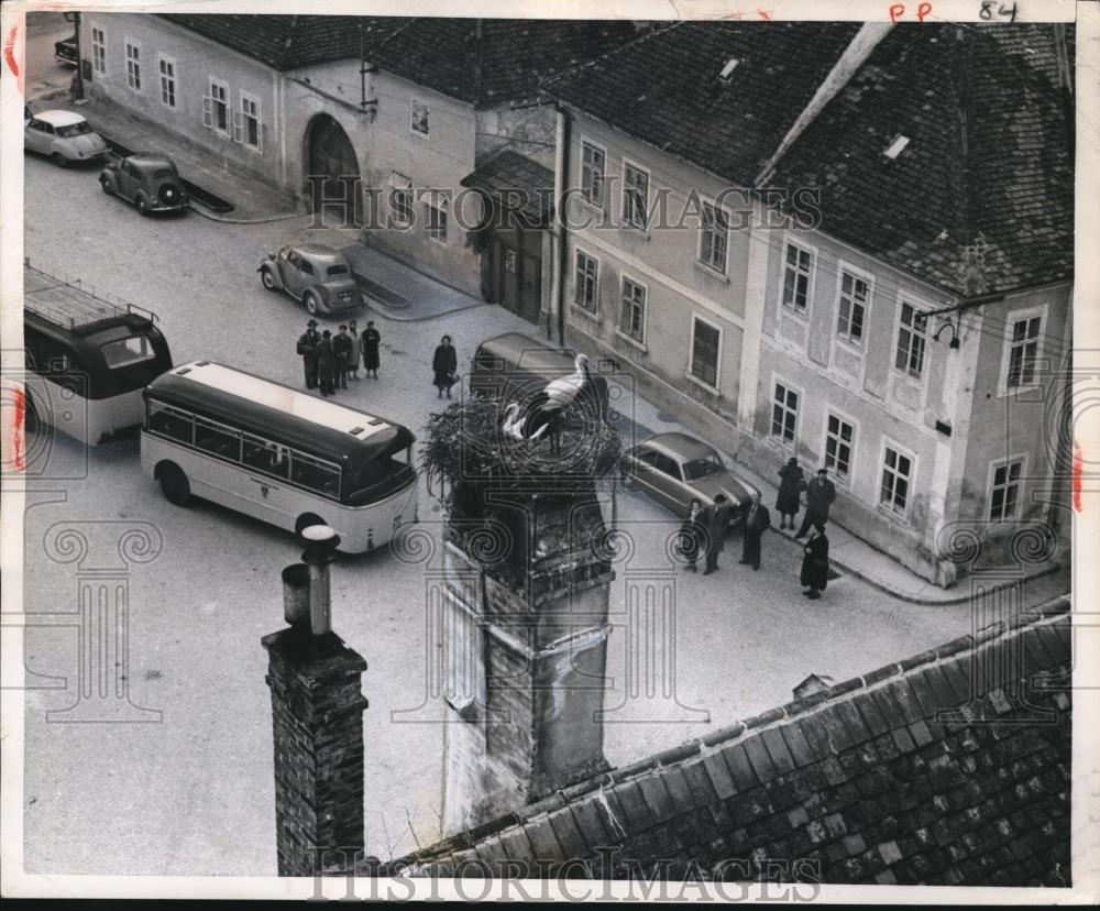 1958 Press Photo Tourists look at storks nesting on roof chimneys - Historic Images