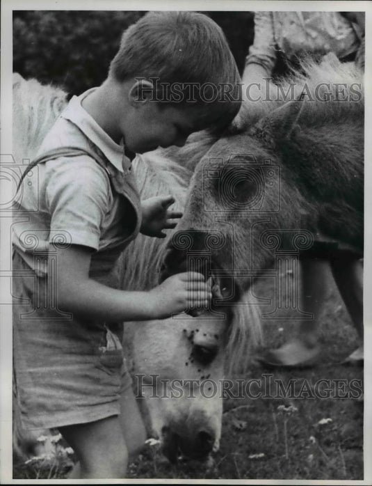 1960 Press Photo Mark Larcombe feeds apple to pet goat, Wraysbury, Surrey, Eng. - Historic Images