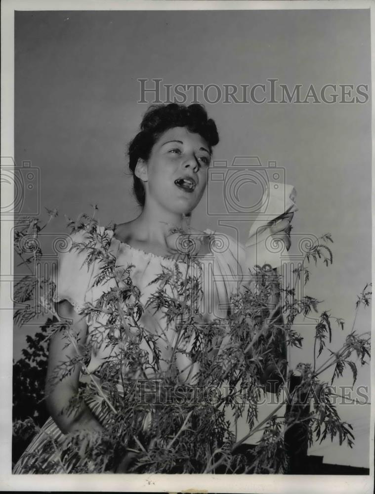 1947 Press Photo Ragweed Have Allergy Sufferers Sneezing - Historic Images