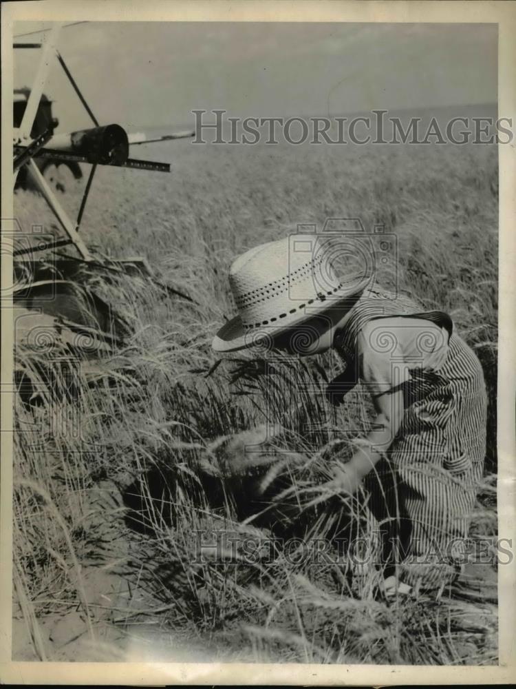 1943 Press Photo Little Joe Bob Bralley as he helps out in the field - nee35361 - Historic Images