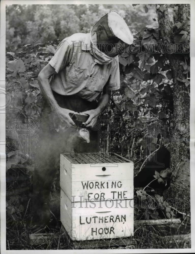 1962 Press Photo Gustave Telschoe and beehive turned out a bumper crop of honey - Historic Images