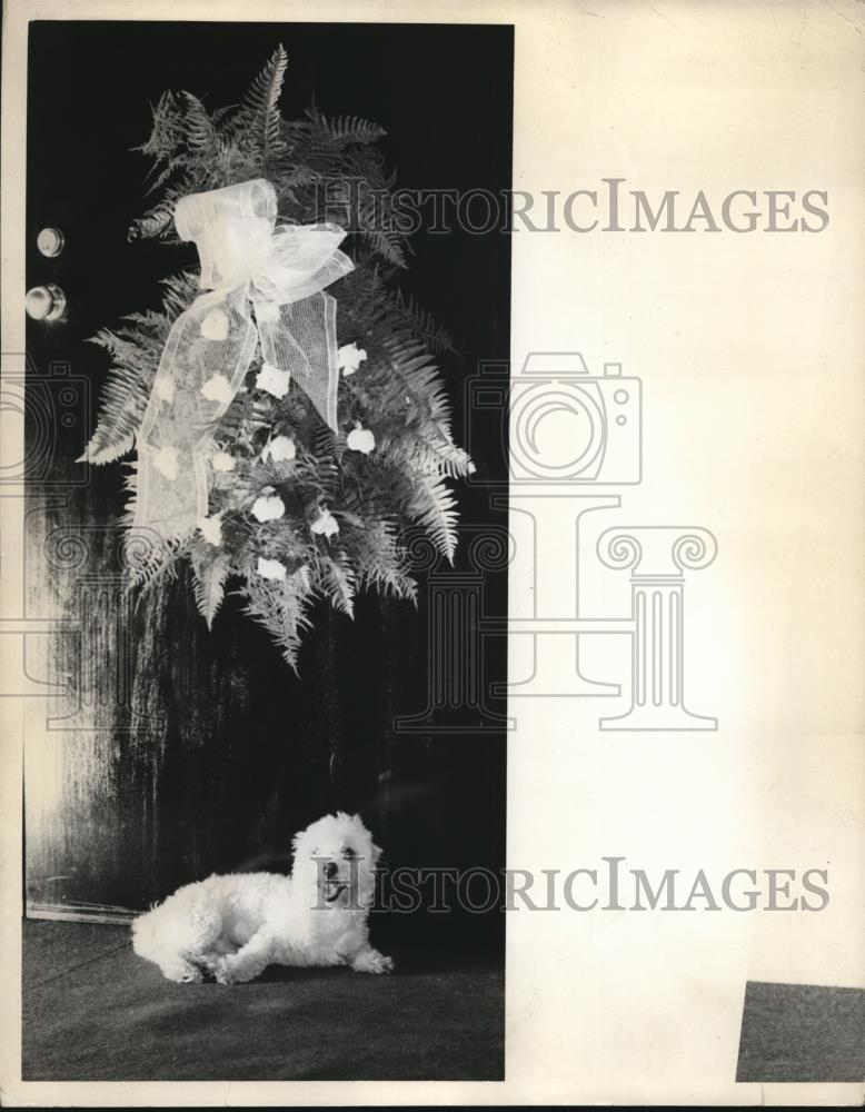 1936 Press Photo William A. Webb died suddenly. His dog, Joe, waits by door - Historic Images