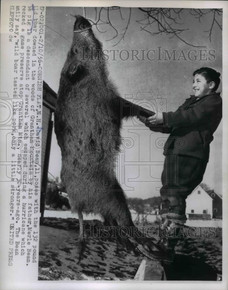 1956 Press Photo of David Bean with his downed wild hog. - nee37833 - Historic Images