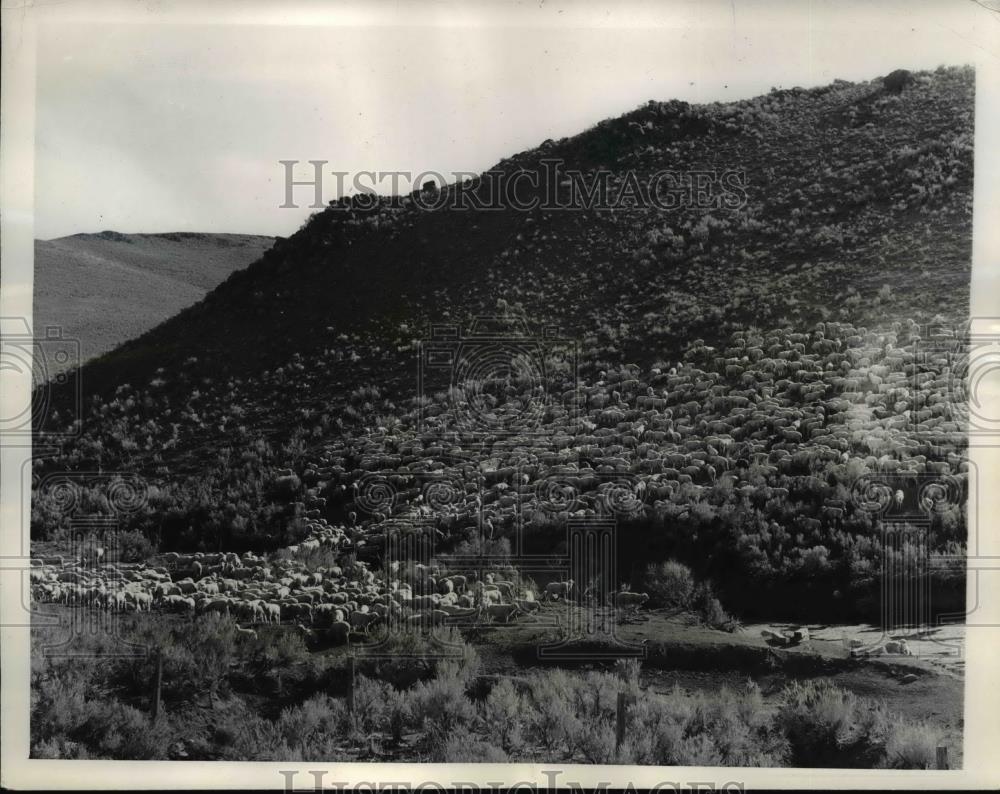 1937 Press Photo The Western Colorado's hillside in a warm canyon - nee32794 - Historic Images