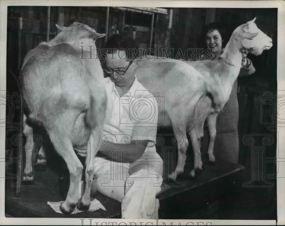 1957 Press Photo of goats being milked for the Blair house. - Historic Images