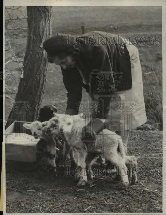 1933 Press Photo Levina Streiff Lamb Ranch in Oregon - Historic Images