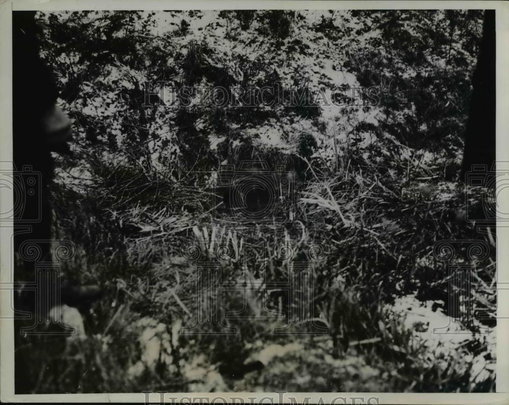 1934 Press Photo The Railroad culvert near Lansing in Michigan - Historic Images