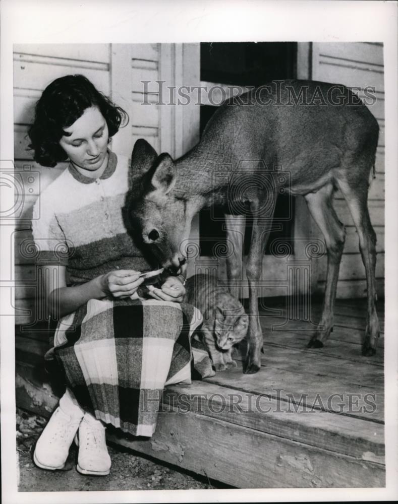 1953 Press Photo Apco Ohio Beverly Rogers &amp; her pet deer Bambi - Historic Images