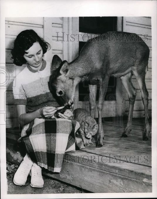 1953 Press Photo Apco Ohio Beverly Rogers & her pet deer Bambi - Historic Images