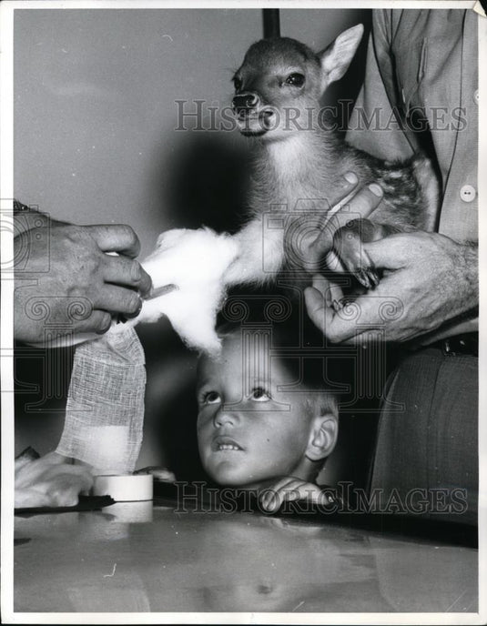 1960 Press Photo Ricky Rowe &a fawn with the vetrinarian - Historic Images