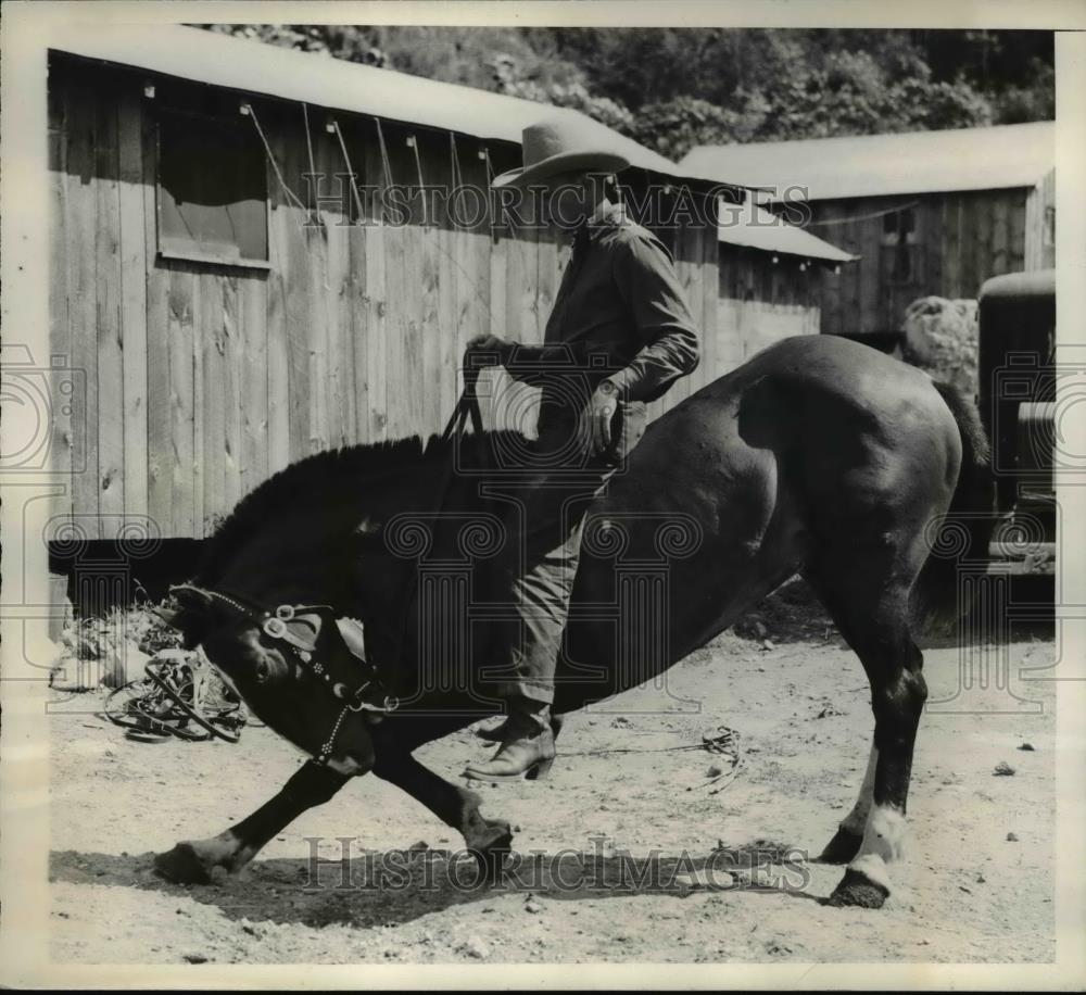 1938 Press Photo The rugged life on the ranch with the horse is well trained - Historic Images