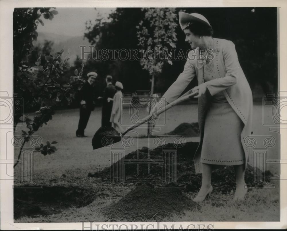 1939 Press Photo Queen Elizabeth Plants Tree Royal Naval College Dartmouth - Historic Images