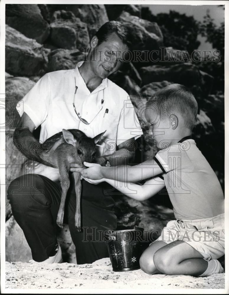 1960 Press Photo Judy the fawn &amp; Ricky Rowe at Deer ranch - Historic Images