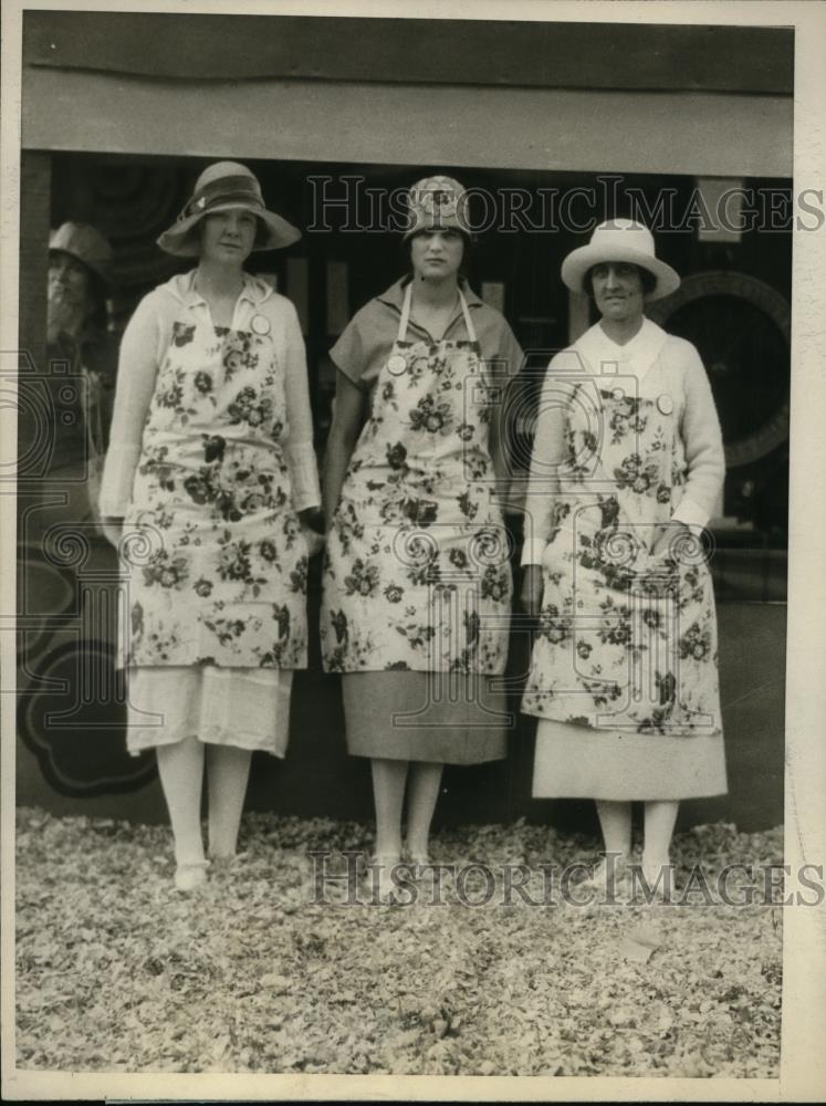 1925 Press Photo Mrs CVS Mitchell, Mrs RB Lanier &amp; Mrs Philip Gardner at Jersey - Historic Images