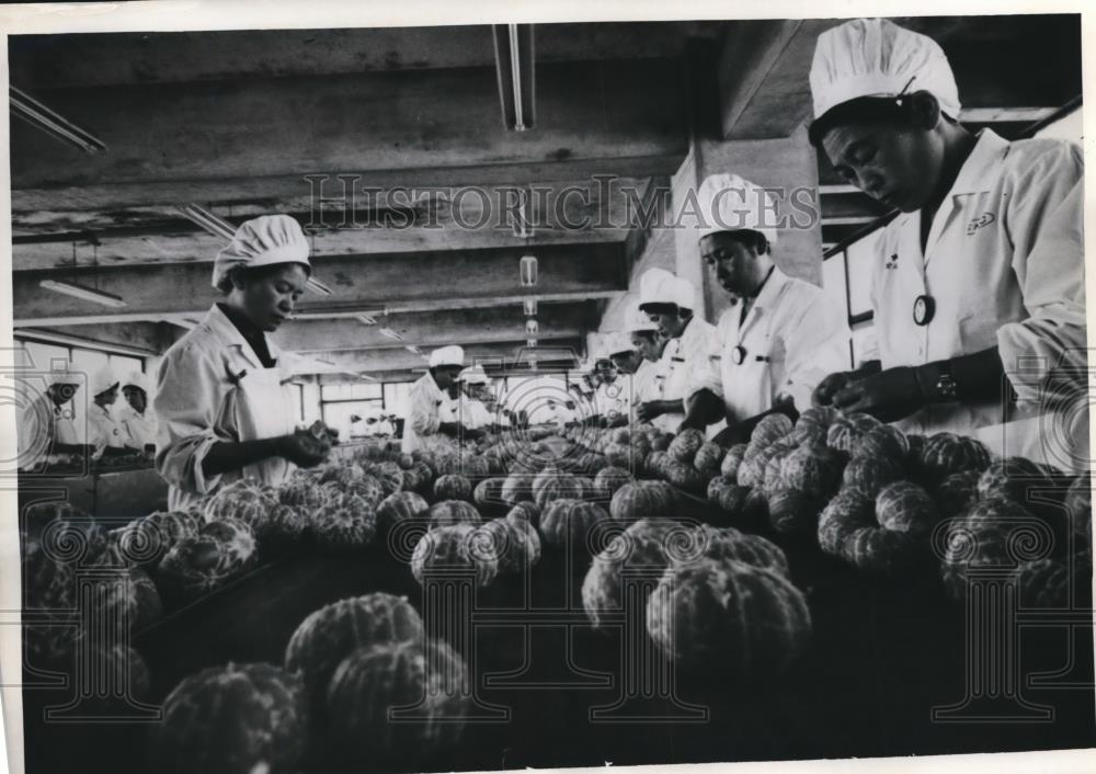 1969 Press Photo Japan workers inspect Mandarin oranges at packing plant - Historic Images