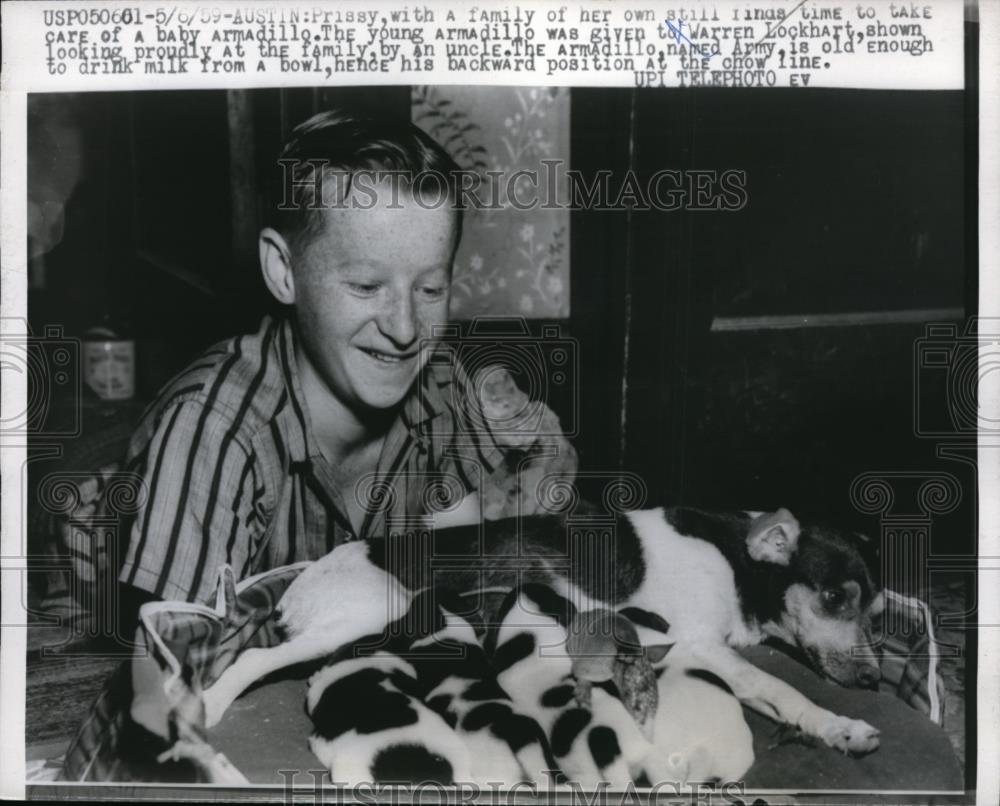 1959 Press Photo of Prissy the dog, her litter, one baby armadillo, Warren - Historic Images