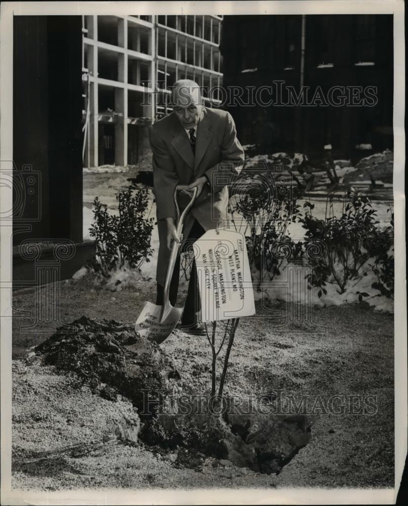 1958 Press Photo George Washington Plants Cherry Tree NYC Washington Square - Historic Images